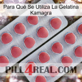 Para Qué Se Utiliza La Gelatina Kamagra 19